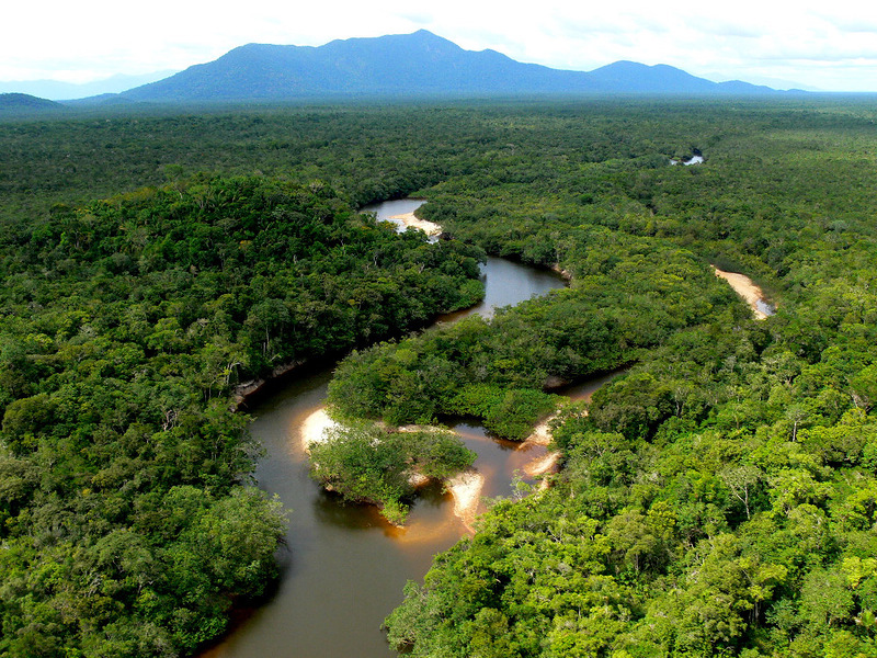 برزیل و پارک ملی آمازونیا