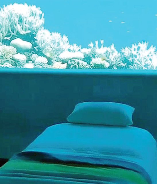 زیر آب و Per Aquarium Fushi
