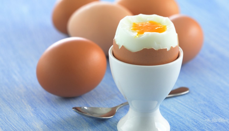 تخم مرغ برای افزایش وزن طبیعی و سریع