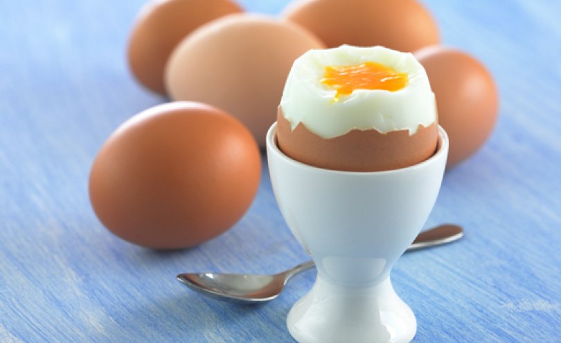 تخم مرغ و غذاهایی که نباید دوباره گرم شوند