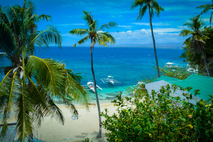 جزیره Apo در فیلیپین