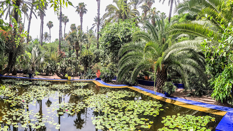 باغ Majorelle در مراکش