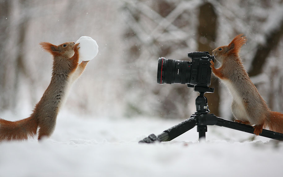 عکاسی عکس‌های زمستانی