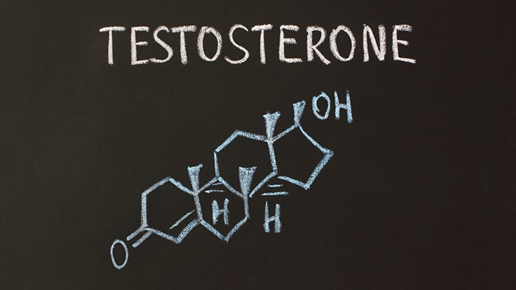 هورمون‌ها و تستوسترون