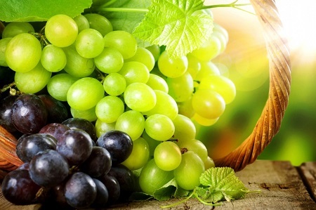 میوه درمانی و انگور