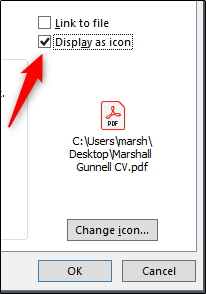 Display as icon و درج فایل PDF